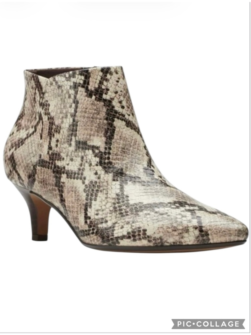 Clarks Linvale Sea Booties Snake Print Taupe Ankle Kitten Heel Pointed Toe 6.5
